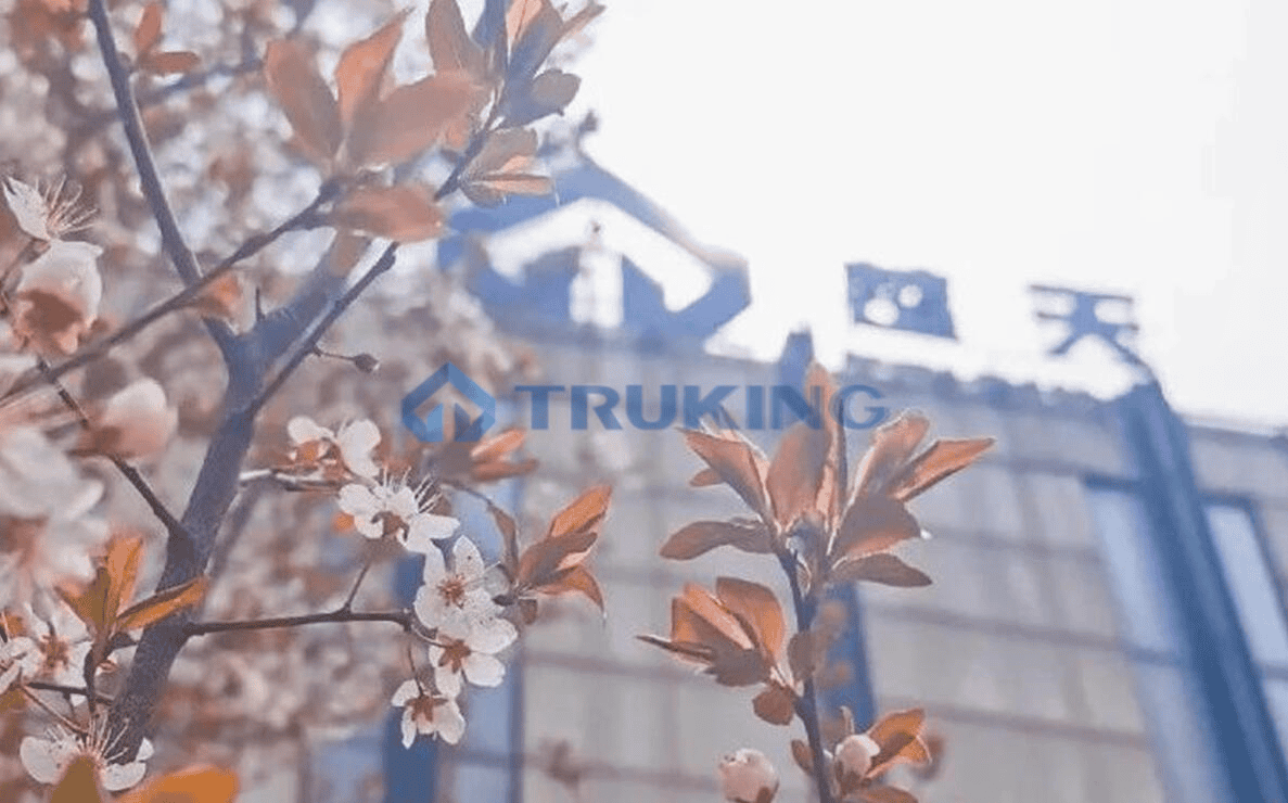 巾帼红心向党，在工作中绽放新时代女性魅力  ——中共OD平台,OD(中国)党委致公司女党员